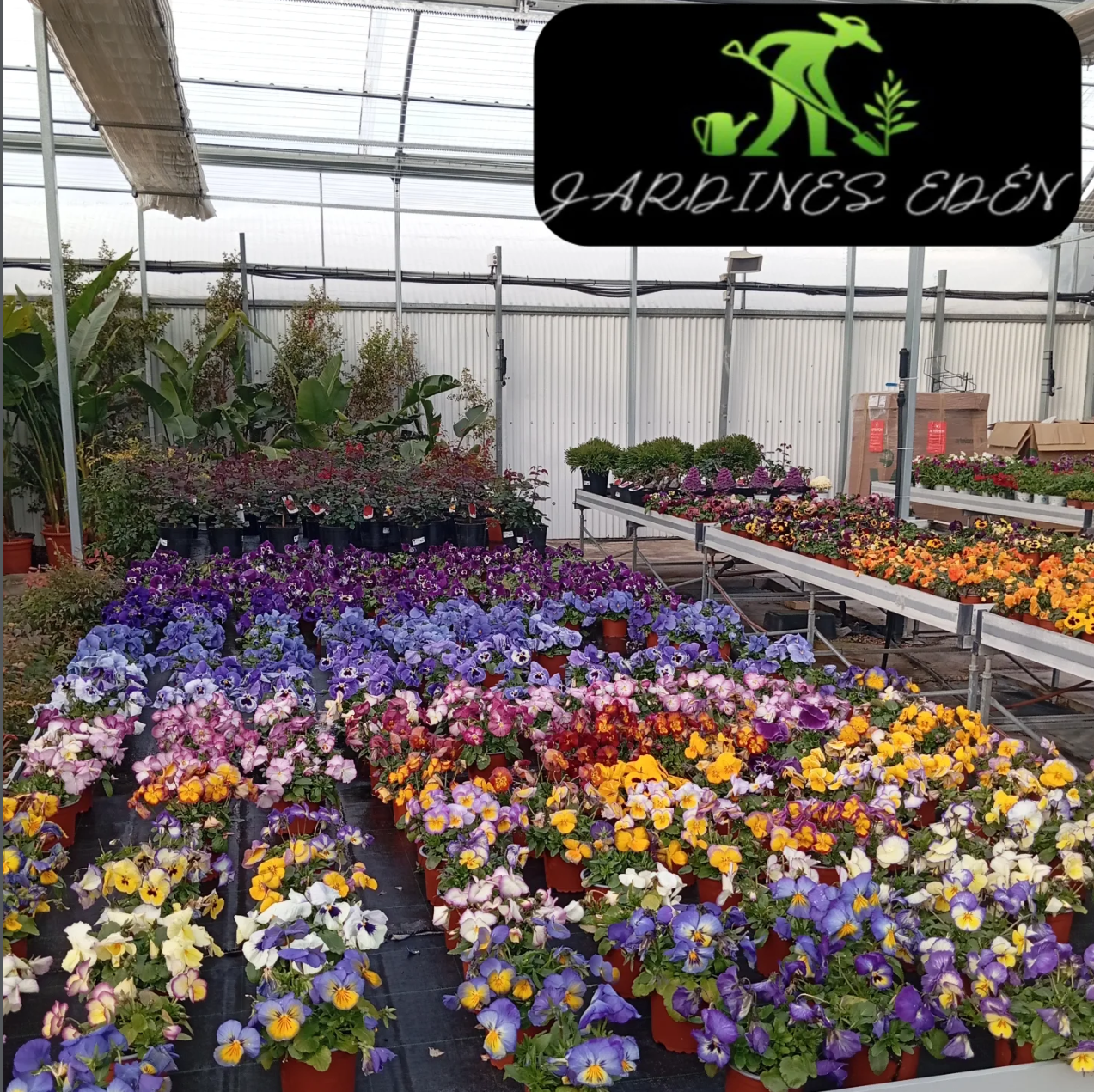 Cuidado de jardines profesionales en Madrid